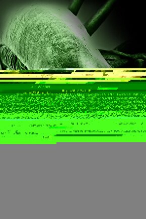 Alien Covenant (2017) 5 ( FOLYO ) - AFİŞ - POSTER-1228