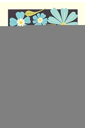 SAN566 HAZIR KİTAP KABI BUZLU ŞEFFAF 10 LU