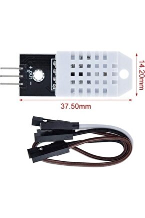 Matisse - Sanat - Soyut - Doğa - Ev - Yaşam ( 2 Li Çerçevesiz ) Poster - Afiş - Tablo NNHT168