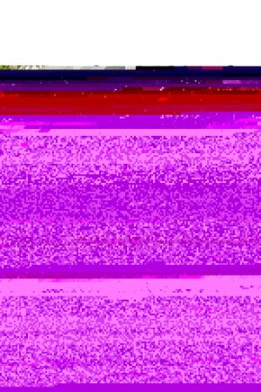 Matisse - Sanat - Soyut - Doğa - Ev - Yaşam ( 2 Li Çerçevesiz ) Poster - Afiş - Tablo NNHT383