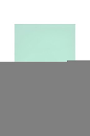 WP231149 200mm CR-V Profesyonel Betoncu Kerpeteni