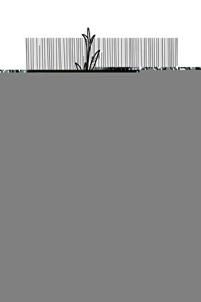 WP231048 200mm CR-V Profesyonel Marangoz Kerpeteni