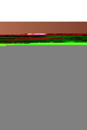 Vom Feinsten Hindi ve Tavşan Etli Mini Irk Yetişkin Köpek Ödül Maması 1 Adet 50 Gr