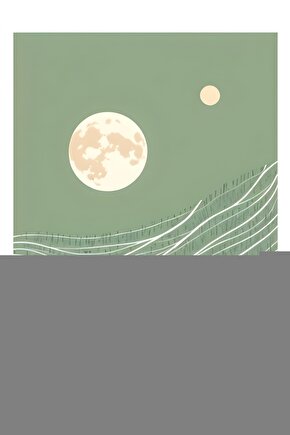 iPhone 14 Plus Arka kapak Kılıf Beyaz kenarlı rose