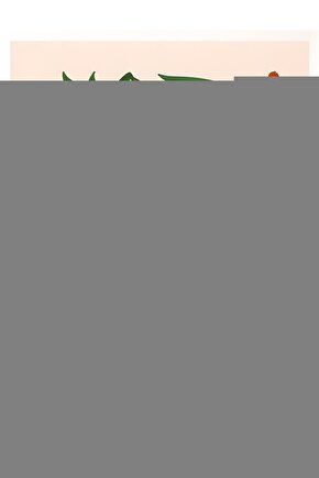 Insülin Taşıma Çantası