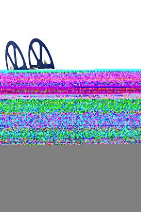 Matisse - Sanat - Soyut - Doğa - Yaşam ( Tekli Çerçevesiz ) Poster - Afiş - Tablo MKKM1289