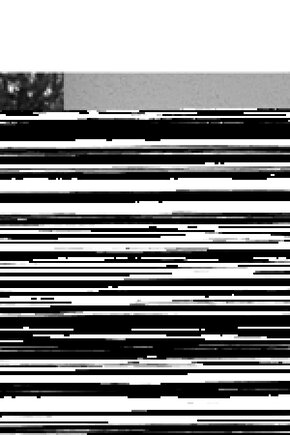 Matisse - Boho - Art Deco - Soyut - Doğa ( 3 lü Çerçevesiz ) Poster - Afiş - Tablo KR2C00083