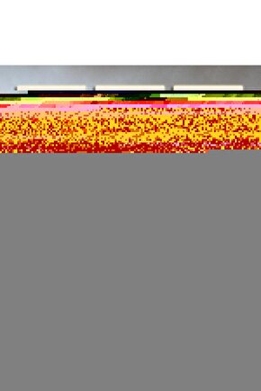 Palette Deluxe Saç Boyası Altın Karamel 50 Ml 6281031271766