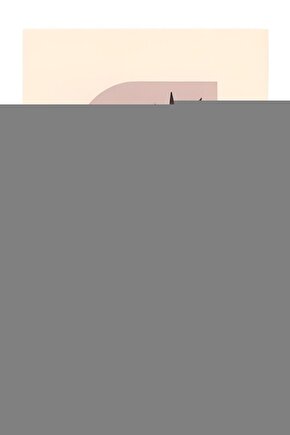 Okaliptus Aromalı Bonbon Şekerleme 24 Adet x 28 g