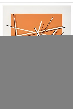 Vtn013598ag Kadın Kol Saati