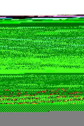 Kadın Kol Saati LTP-E113D-1ADF