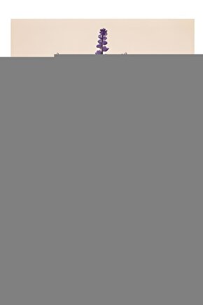 Yy.6053.wı Kol Saati