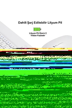 Matisse - Boho - Art Deco - Soyut - Doğa ( 3 lü Çerçevesiz ) Poster - Afiş - Tablo KR2C00192