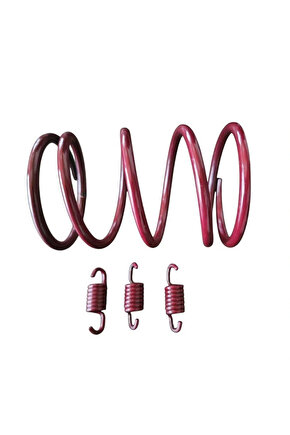 Rks Vrs 125 Varyatör Yayı + Debriyaj Balata Yayı Seti Speed Up