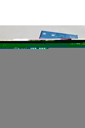 Blitz  Ölümcül Takip