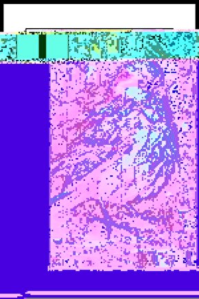 Minik Tatlı serçe Digital Art ( ÇERÇEVESİZ - ÇERÇEVE YOKTUR ) ( ULTRA HD ) FOLYO AFİŞ - POSTER