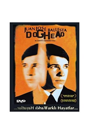Dvd - Farklı Hayatlar