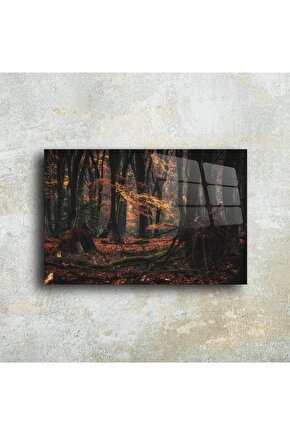 Modern Cam Duvar Tablosu