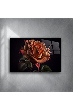 Premium Siyah Arka Plan Üzerinde Çiyli Gül Sanat Baskısı