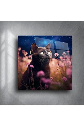 Yıldızlı Gece ve Çiçekler Arasında Siyah Kedi Cam Tablo