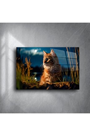 Kedi Temalı Temperli Cam Duvar Tablosu