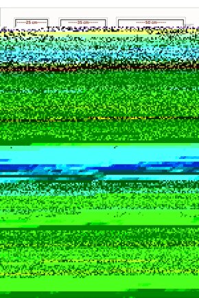 Zebra Stor Perde Krem Gold Simli Lüx Etek Dilimli