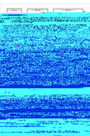 Hadis Ilimleri - Tahriru Ulumil Hadis - 2 Cilt Takım