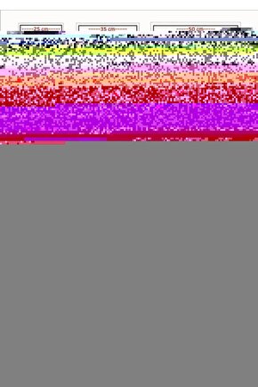 Imamı Gazali Kitap Seti Kalbin Sırları-dilin Afetleri-nefs Terbiyesi-iki Şehvet-öfke Ve Kin 5li Set