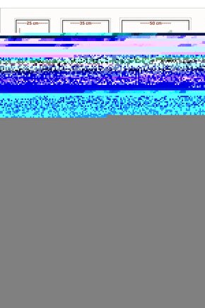 Namaza Başlatan Kitap