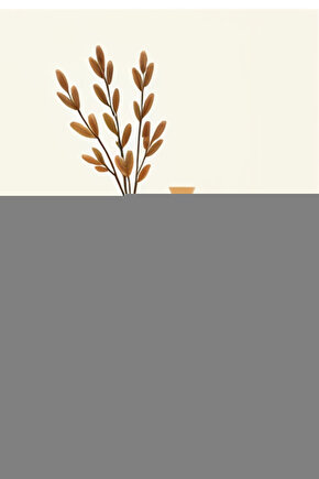 Kadın Bato Bikini Külot 652 - 12 Adet