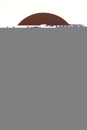 Kadın Bato Yüksek Bel Külot 6’lı 652