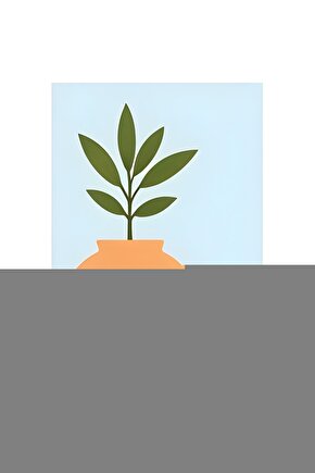 Erkek 2 Li Ekonomik Paket % 100 Pamuk Askılı Atlet 101