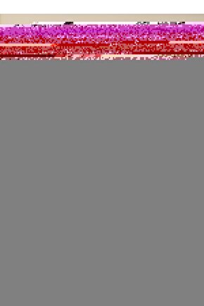 Matisse - Sanat - Soyut - Doğa - Ev - Yaşam ( 2 Li Çerçevesiz ) Poster - Afiş - Tablo NNHT319