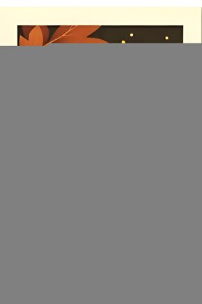 Unisex Kolostomi Korsesi