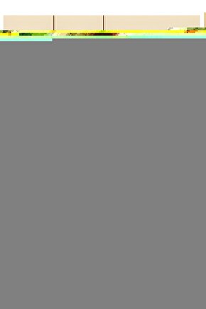 Cm Loop Kas Bacak Germe Pilates Direnç Lastiği Seviye 3Yeşil Renk 7x5 Cmx 30,5