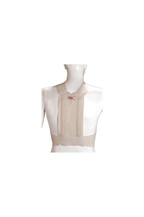 Postureks Korse Kamburluk Korsesi