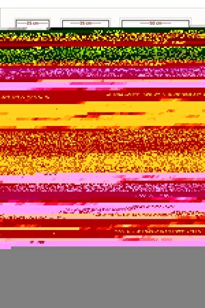 Matisse - Sanat - Soyut - Doğa - Yaşam ( Tekli Çerçevesiz ) Poster - Afiş - Tablo MKKM1081