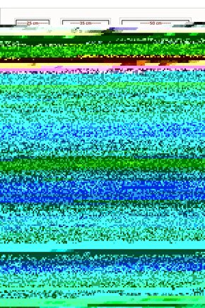 Matisse - Boho - Art Deco - Soyut - Doğa ( 3 lü Çerçevesiz ) Poster - Afiş - Tablo KR2C00022