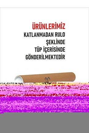 Walk Hard The Dewey Cox Story - Zorlu Yol Dewey Cox’un Hikayesi  Dvd