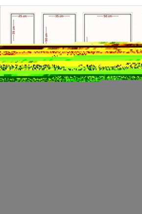 The Second Best Exotic Marigold Hotel  Marigold Otelinde Hayatımın Tatili