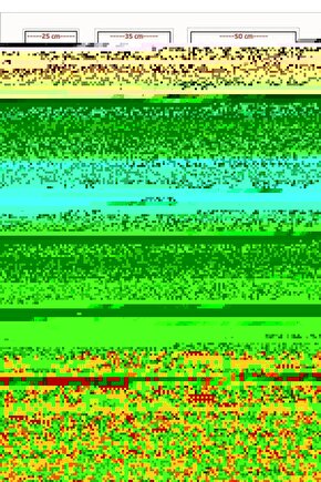 Lilo & Stitch (2025) 005 AFİŞ - POSTER