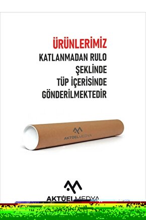 Işık Saçan Gül Digital Art ( ÇERÇEVESİZ - ÇERÇEVE YOKTUR ) ( ULTRA HD ) FOLYO AFİŞ - POSTER