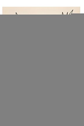 Hester Street (1975) 1 ( FOLYO ) - AFİŞ - POSTER-3499