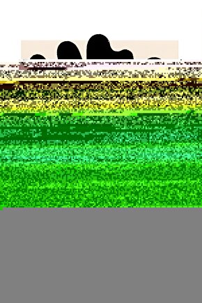 Beetlejuice Beetlejuice (2024) 0004 ( FOLYO ) - AFİŞ - POSTER-1726