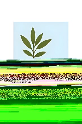 Matisse - Sanat - Soyut - Doğa - Yaşam ( Tekli Çerçevesiz ) Poster - Afiş - Tablo MKKM1797