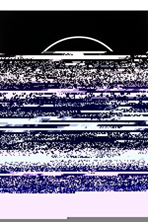 Matisse - Sanat - Soyut - Doğa - Ev - Yaşam ( 2 Li Çerçevesiz ) Poster - Afiş - Tablo NNHT141