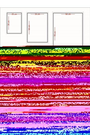 Matisse - Sanat - Soyut - Doğa - Ev - Yaşam ( 2 Li Çerçevesiz ) Poster - Afiş - Tablo NNHT527