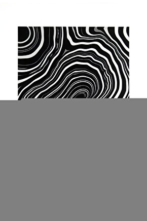 Matisse - Sanat - Soyut - Doğa - Yaşam ( Tekli Çerçevesiz ) Poster - Afiş - Tablo MKKM1759