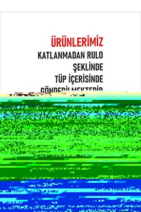 Matisse - Sanat - Soyut - Doğa - Yaşam ( Tekli Çerçevesiz ) Poster - Afiş - Tablo MKKM1178