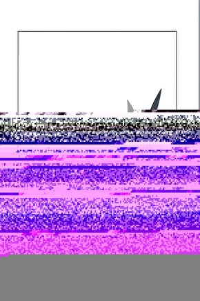 Matisse - Sanat - Soyut - Doğa - Yaşam ( Tekli Çerçevesiz ) Poster - Afiş - Tablo MKKM2270